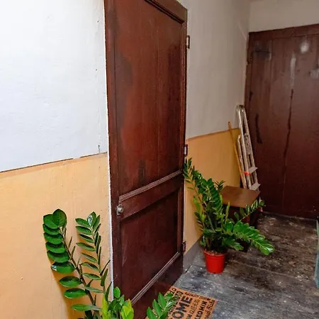 Nella Casa Del Pittore Torino