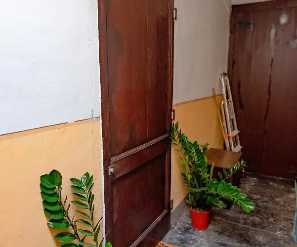 Nella Casa Del Pittore Turyn